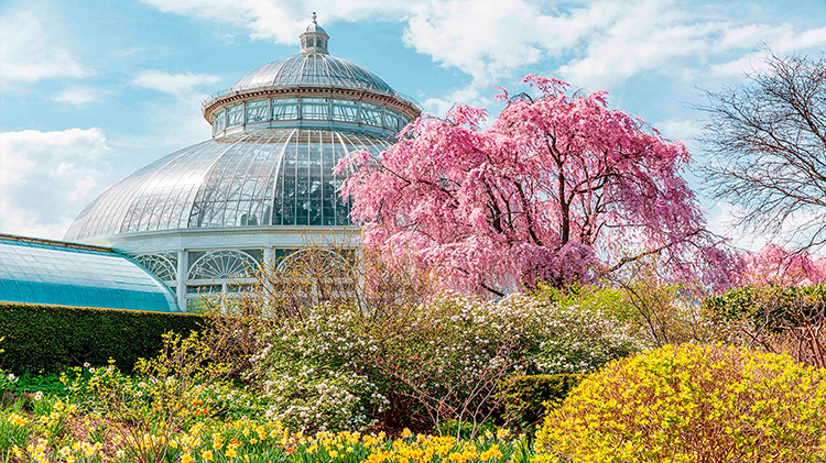 NY Botanical Garden, Bronx