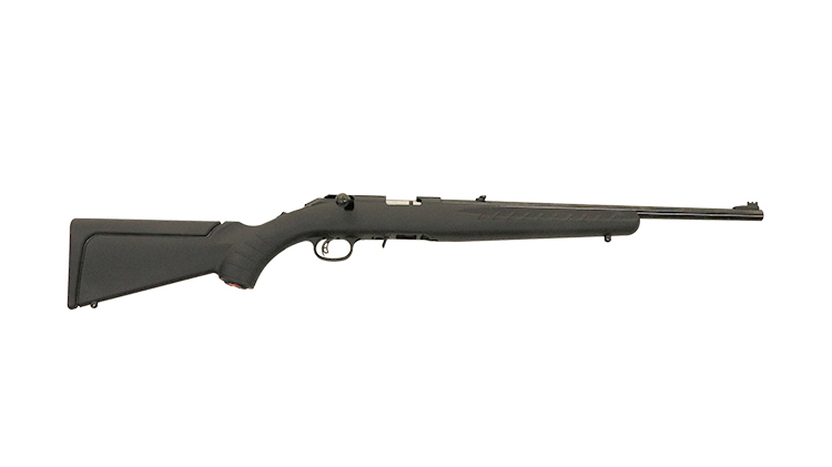 Ruger 10-22