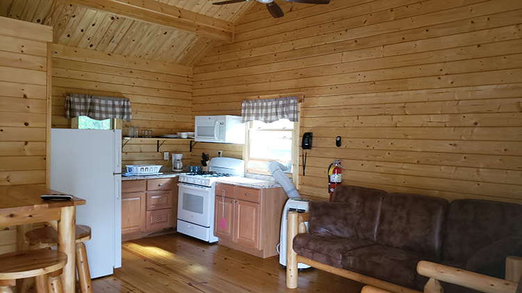 Guest House Living Room/Kitchen