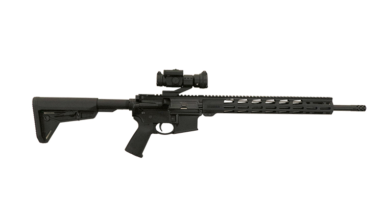 Ruger AR 15