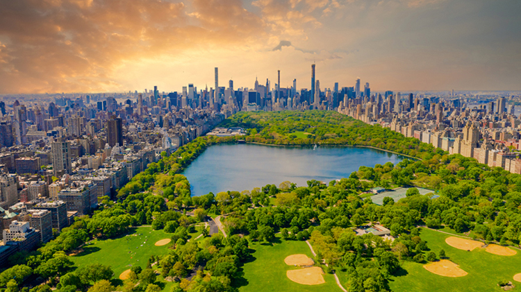 Central Park, NYC