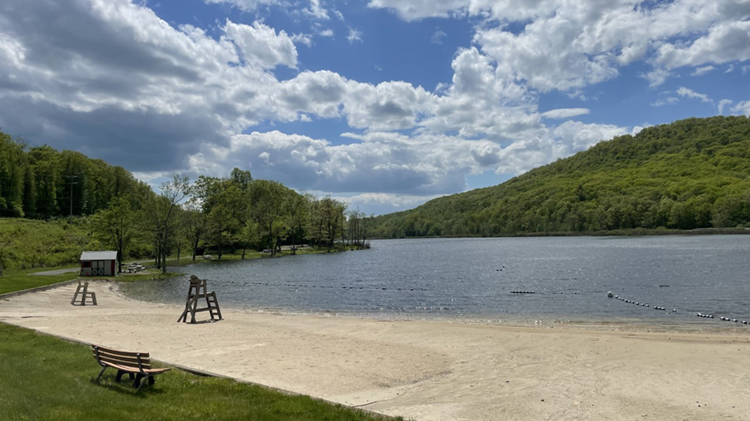 Long Pond Swim Beach View 1